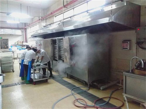 荔湾工厂废气净化系统出厂价与管道配置详解 一站式获取企业环保升级方案
