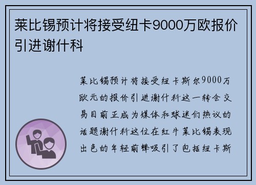 莱比锡预计将接受纽卡9000万欧报价引进谢什科