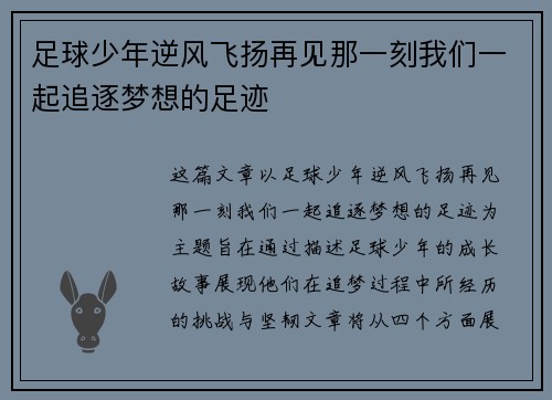 足球少年逆风飞扬再见那一刻我们一起追逐梦想的足迹